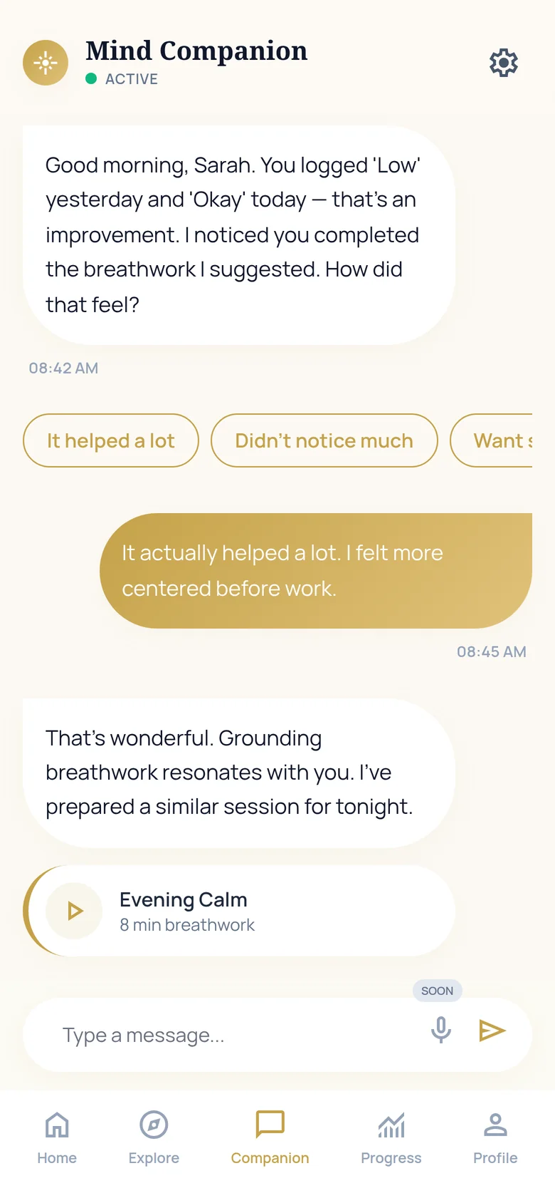A chat conversation with Lumi